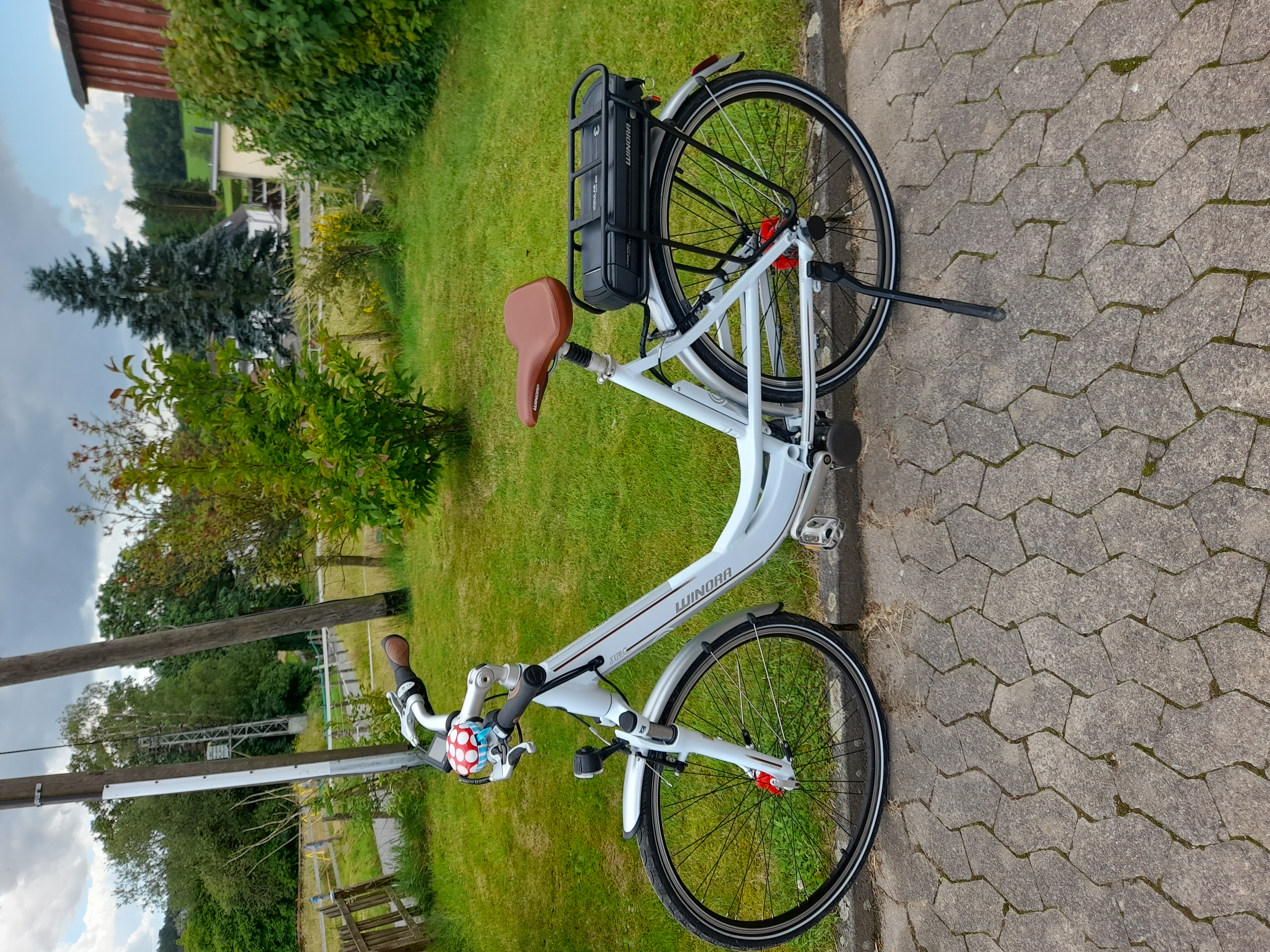anzeigen-bild-158512